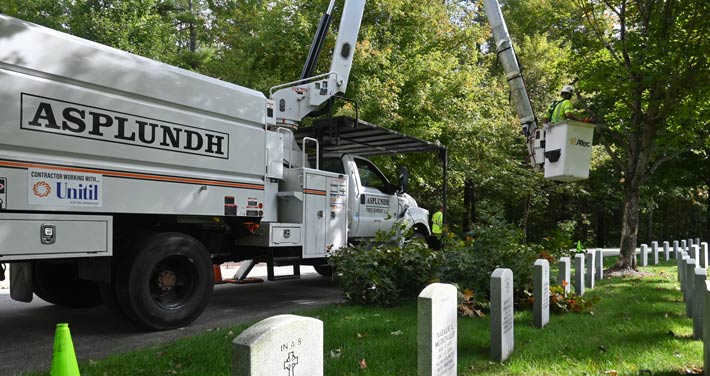 Tree work occurring in a cemetery 